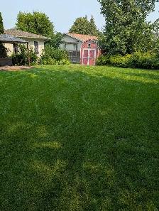 SJT PROPERTY MAINTENANCE