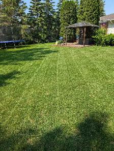 SJT PROPERTY MAINTENANCE - Photo 3