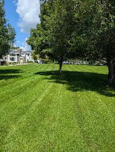 SJT PROPERTY MAINTENANCE - Photo 4