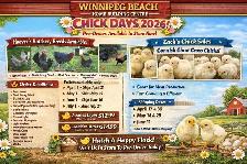 Order Chicks Hoover's Hatchey