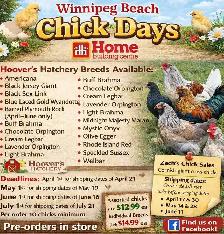 Order Chicks Hoover's Hatchey - Photo 3