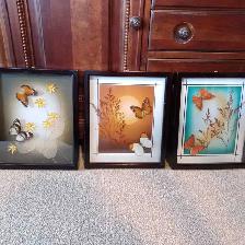 Shadow Box Framed Real Butterfly Plant Wall Art Paintings