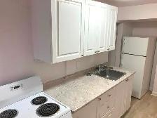 Sandy Hill Basement Bachelor/Studio Apartment (257 Daly Ave) - Photo 3