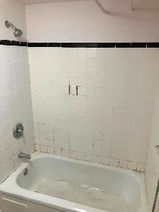 Sandy Hill Basement Bachelor/Studio Apartment (257 Daly Ave) - Photo 10