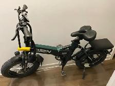 Gosen Q7 Folding Fat Tire E-Bike 750W (48V 31Ah Dual Battery)