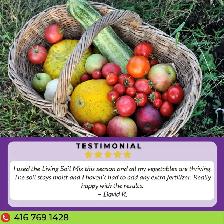 1 YARD OF QUALITY ORGANIC LIVING SOIL - Photo 4