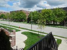 GREAT DEAL. UNIVERSITY OF GUELPH SUBLET WON'T LAST LONG