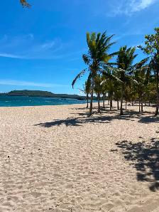 BEAUTIFUL PROPERTY FOR SALE North coast of the Dominican Republi - Photo 3