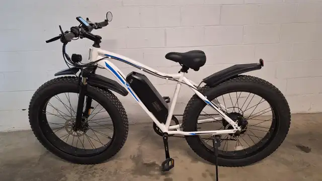 Vélo électrique fatbike Wheelspeed 26' x 4,0'