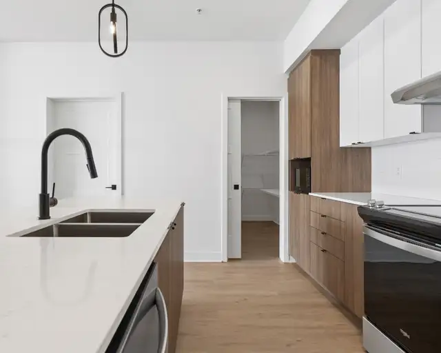 Le Stridon de Saint-Jérôme, Lafontaine - Photo 5