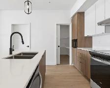 Le Stridon de Saint-Jérôme, Lafontaine - Photo 5