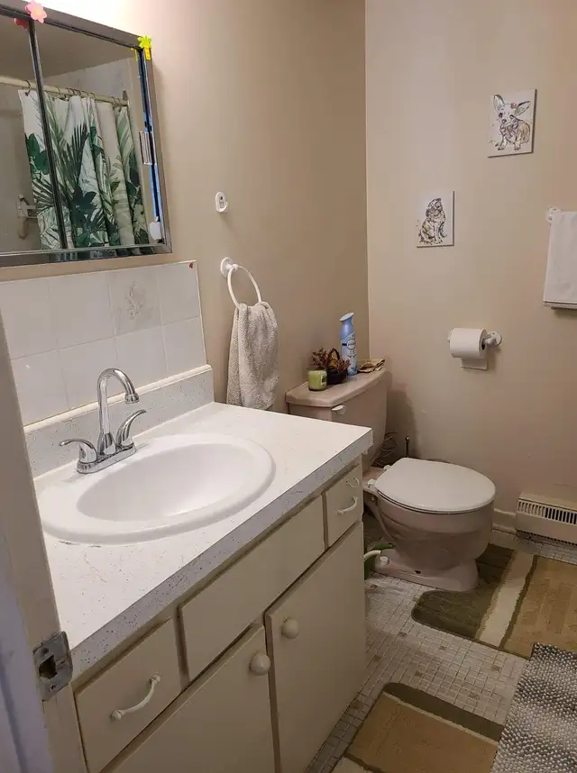 Nice, large 2-bedroom Apartment in Brossard, Bulv Rom. - Photo 9