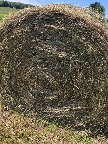 round hay bales, stored inside