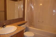 Spacious 3 Bed, 2.5 Bath Home in Terwillegar Towne - Photo 2