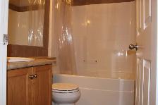 Spacious 3 Bed, 2.5 Bath Home in Terwillegar Towne - Photo 6