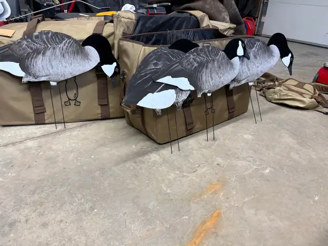 Canada Goose Decoys
