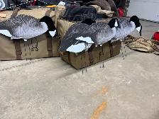 Canada Goose Decoys