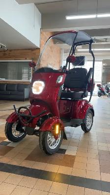 Quadriporteur ET4 LS - Photo 2