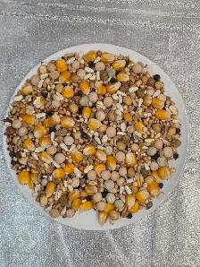 pigeon mix - Photo 2