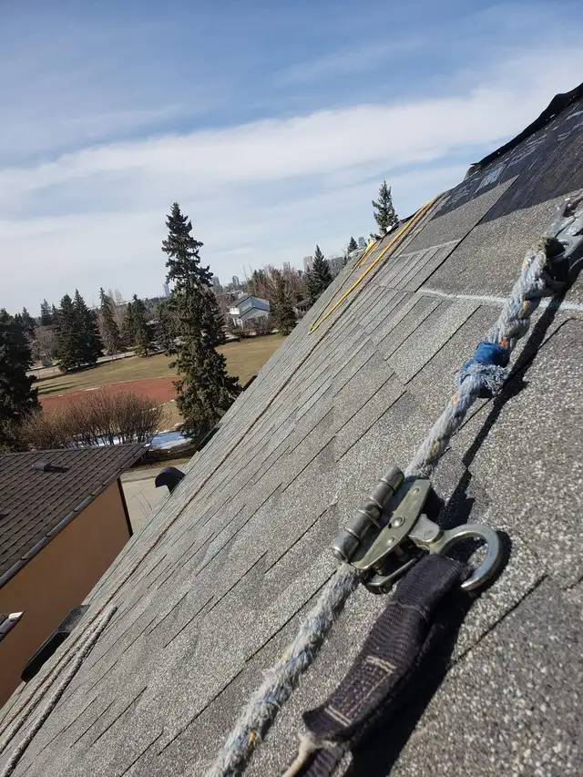 roofer looking for work