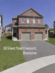 Semi Detached For Lease Brampton Full House
