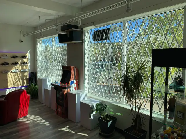 SECURITY GATES/BARS - Photo 3