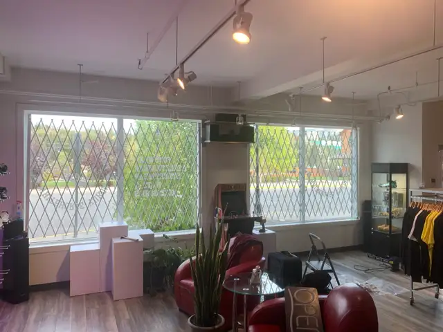 SECURITY GATES/BARS - Photo 4