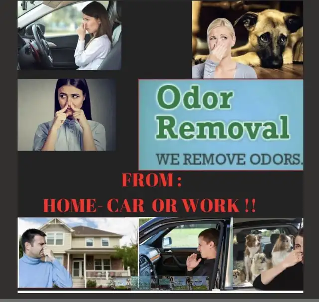 ODOR REMOVAL SERVICE - HOME -WORK-VEHICLE