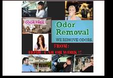 ODOR REMOVAL SERVICE - HOME -WORK-VEHICLE - Photo 4
