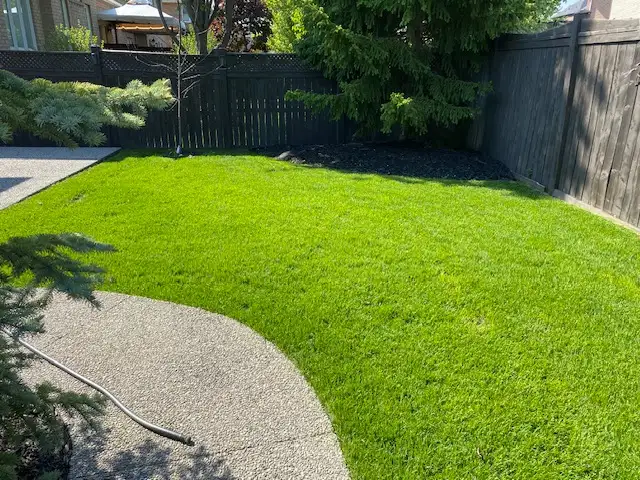 Grass Cutting and Trimming Services - Oakville Area
