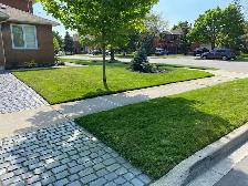 Grass Cutting and Trimming Services - Oakville Area - Photo 2