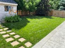 Grass Cutting and Trimming Services - Oakville Area - Photo 3