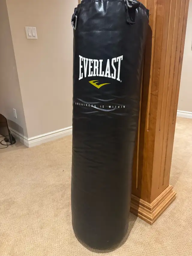 Everlast 80LB Heavy Bag