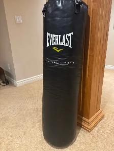 Everlast 80LB Heavy Bag