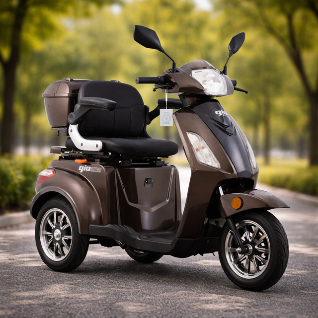 Triporteur 2026 à prix d'entrepôt - GIO Régal - 4 Couleurs