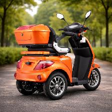 Triporteur 2026 à prix d'entrepôt - GIO Régal - 4 Couleurs - Photo 6