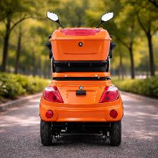 Triporteur 2026 à prix d'entrepôt - GIO Régal - 4 Couleurs - Photo 7