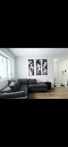 Discount Price Summer Sublet Private Room $650 All Inclusive