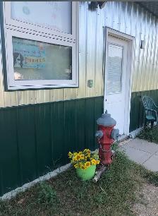 boarding kennel - Photo 9