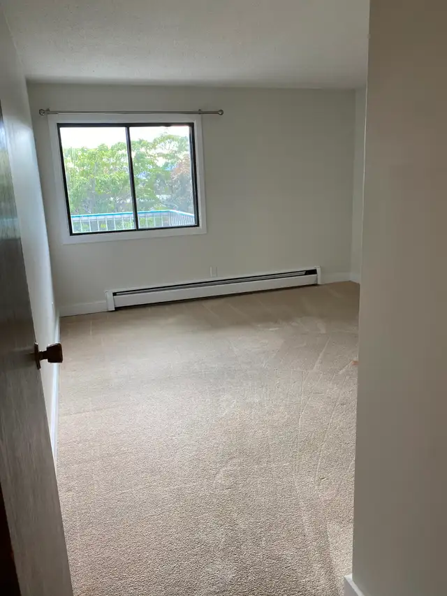 1 BEDROOM APARTMENT - PET FRIENDLY - Photo 6