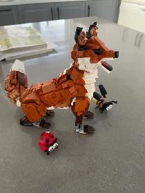LEGO tecnic à donner - Photo 5