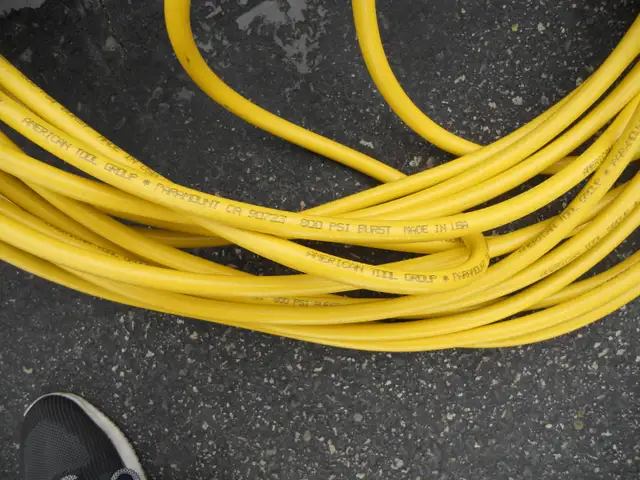 100 FOOT AIR HOSE WITH A BURST PRESSURE OF 800 PSI - Photo 2