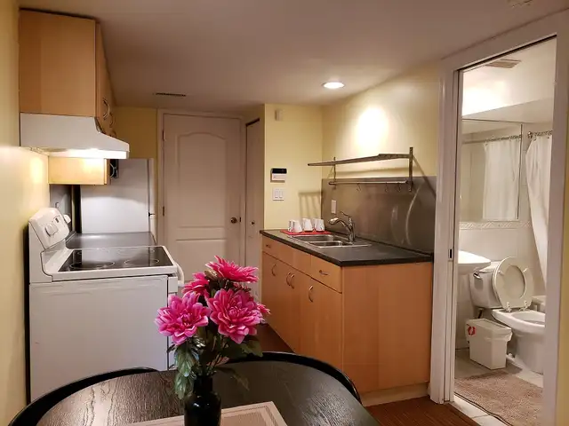 Renovated,quiet,spacious garden-level suite.very close to King E - Photo 3