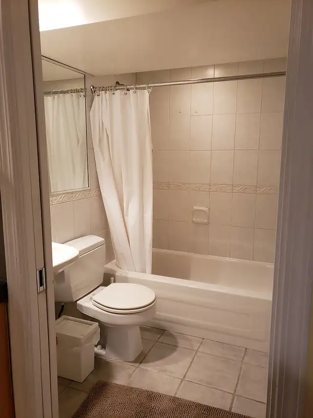 Renovated,quiet,spacious garden-level suite.very close to King E - Photo 6
