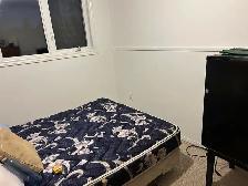Room For Rent in Leduc - Photo 4