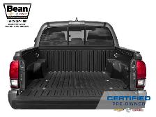 2023 Toyota Tacoma - Photo 8