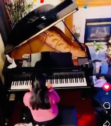 Piano Lesson ( Erinwoods SE) - Photo 4