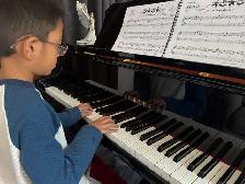 Piano Lesson ( Erinwoods SE) - Photo 6