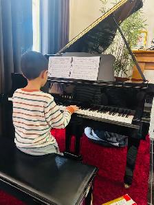 Piano Lesson ( Erinwoods SE) - Photo 7