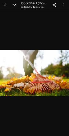 Spring Cleanup Help Needed $20-25 hr